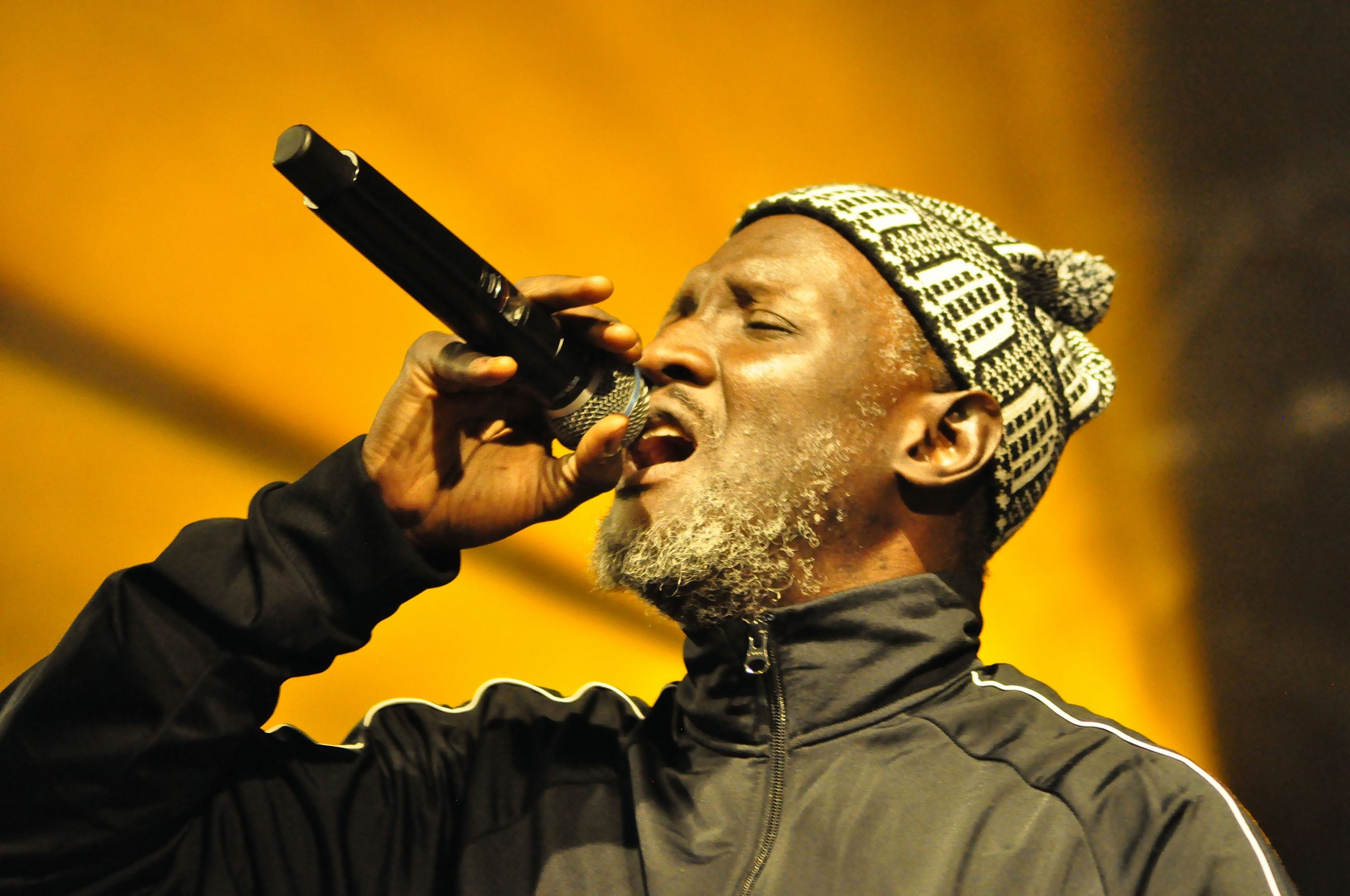 reggae im hanffeld 2023 by meye graphics 086 Rebellion the Recaller - RiH 2023